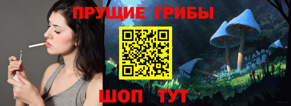 Галлюциногенные грибы GOLDEN TEACHER  Псилоцибиновые грибы Magic Shrooms  Вход с VPN  Аргун 